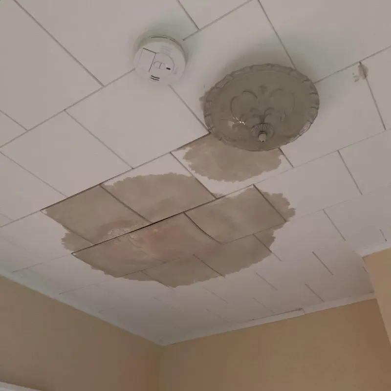 Ceiling Water Damage Repair in Clinton County, IL