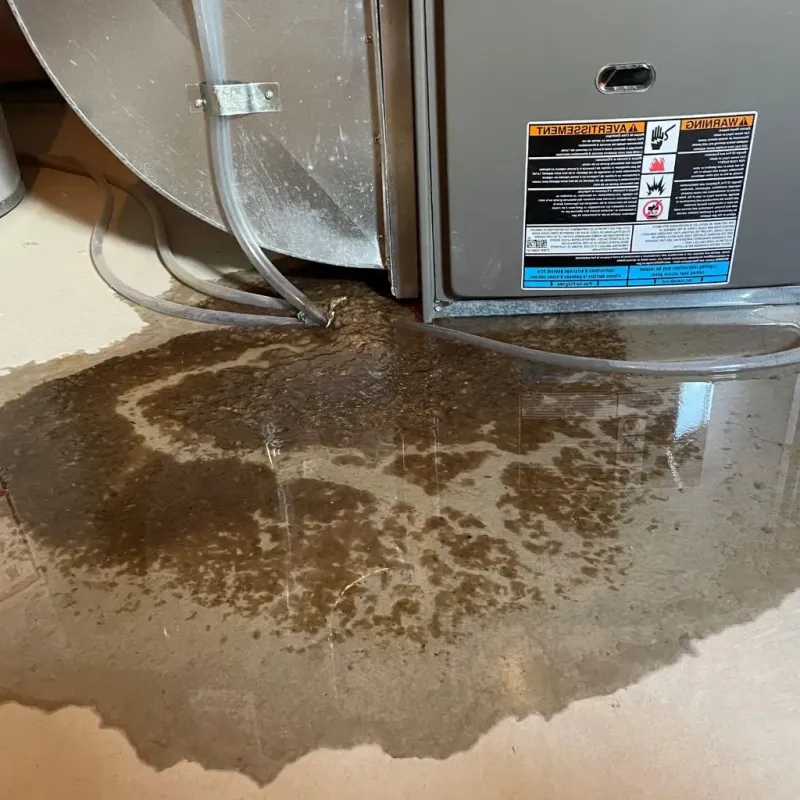 Pipe Burst and Leak Restoration in Clinton County, IL