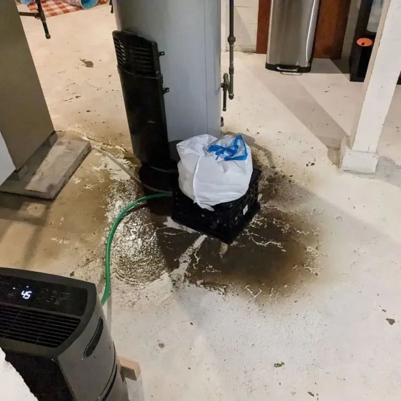 Sewage Backup Cleanup Service in Clinton County, IL